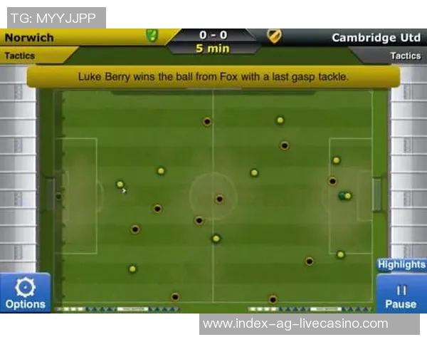 足球经理2018:打造属于你的足球王国,征战全球赛场的策略与挑战