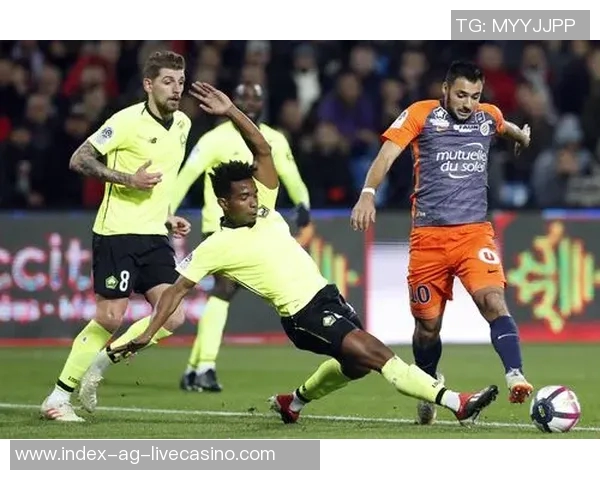 蒙彼利埃足球俱乐部的辉煌历史与未来发展展望