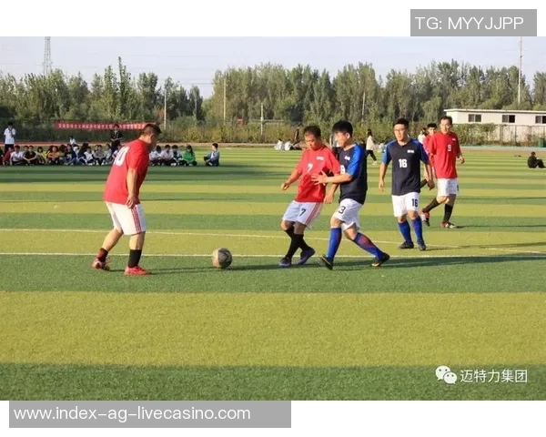 足球的重量与比赛表现之间的关系探讨与分析