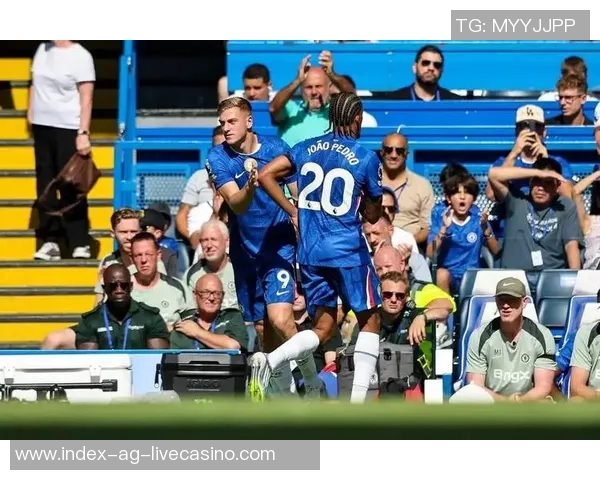 竞彩足球分析推荐助你精准预测赛事结果提升投注胜率