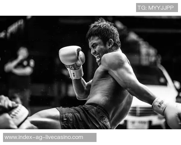 一龙与播求巅峰对决谁将成为武林新王荣耀之战即将开启